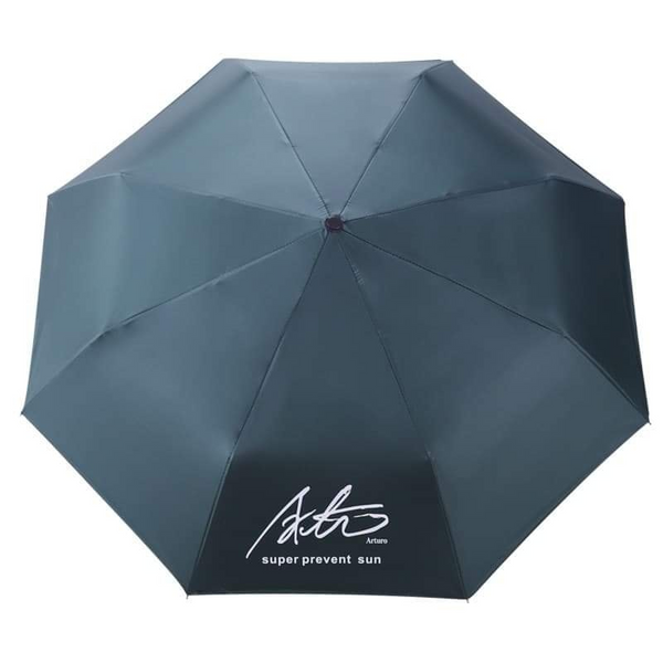 Folding Umbrella